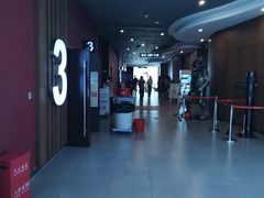 -卢米埃影城(长楹天街IMAX激光店)