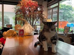 大堂-咖法森林·咖啡  酒吧(天河店)