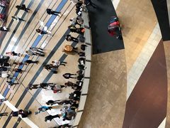 -奥利弗·雷金纳德·坦博国际机场