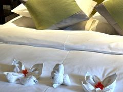 -洛阳白云山景区