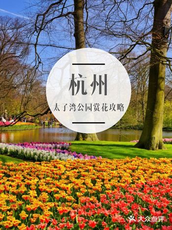 ​杭州太子湾公园郁金香观赏攻略。