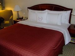 -成都天府丽都喜来登饭店