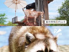 -黄龙溪欢乐田园