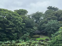 -东京国立博物馆