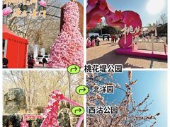 -桃花堤公园