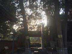 -玉泉观