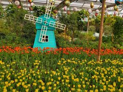 -南宫五洲植物乐园