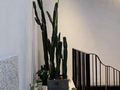 -大树餐厅(红旗街万达店)