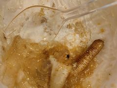 -三都土笋冻(海富路步行街店)