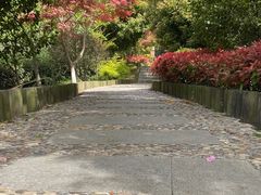 -九龙潭景区