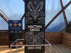 -怀托摩萤火虫洞