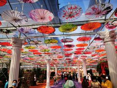 -广东花都香草世界旅游度假区