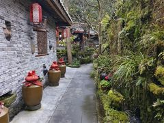 -青城甲(青城山店)