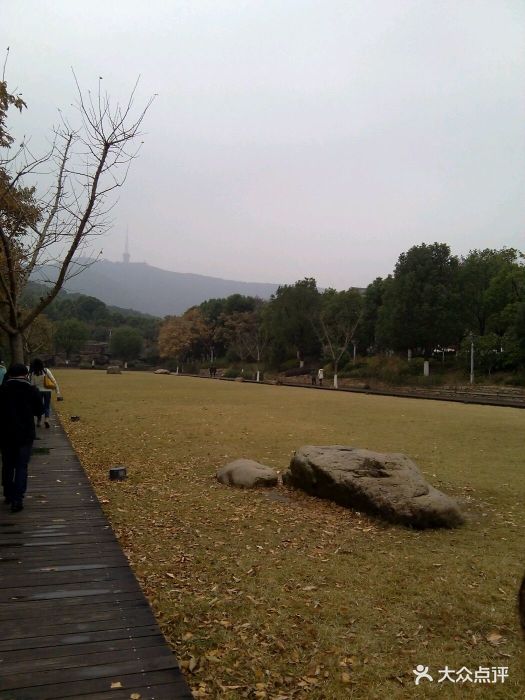 惠山國家森林公園圖片