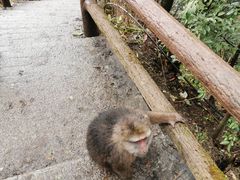 -九峰山