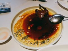 瑞士汁乳鸽-侨美·唐荔园·40年地道粤菜