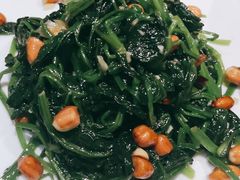 -撒拉花儿·新疆菜·清真(太阳宫店)