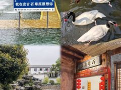 -莫干山风景区