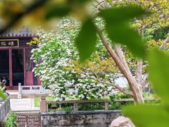 -苏州文庙(姑苏区)