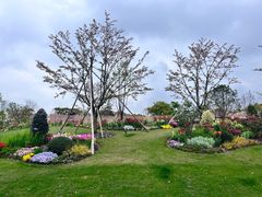 -上海植物园-4号门售票处