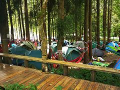 -武陵山森林公园