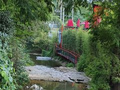 -莫干山风景区