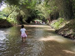 -红山村