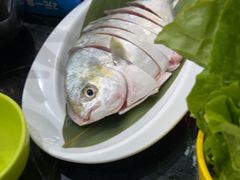 -小海豚•老字号海鲜餐厅(天涯店)