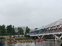 -南汇新城城市公园