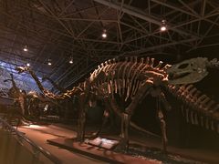 -世界恐龙谷景区