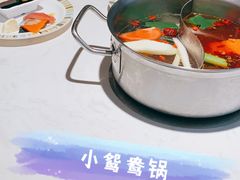 -吉布鲁牛排海鲜自助(芙蓉万家丽店)