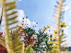 -曼乐辰餐厅(中庚漫游城店)