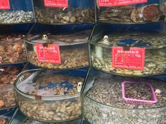 水产区-北戴河庆山饭店·海鲜砂锅粥(北戴河黑石路店)
