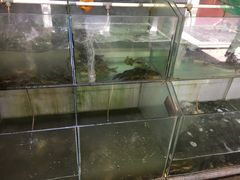 水产区-高淳老街土菜馆(迎薰门店)