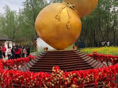 -溱湖国家湿地公园