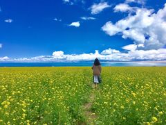 -青海湖国家重点风景名胜区