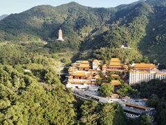 -深圳仙湖植物园