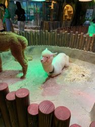 -宝燕乐园(闵行旗舰店)