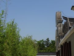 -上海滨江森林公园