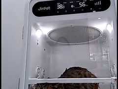 -爱洗澡的猫(望京店)