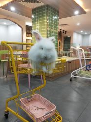 -Moni星球萌宠·小马宝莉·灵蛇·高端高阶全萌宠互动体验俱乐部(红豆国际广场店)