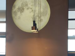 -老板恋上鱼(印象城店)