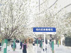 -武商摩尔影城(国广IMAX激光店)