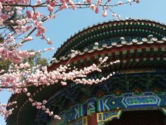 景点-景山公园