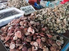 -渡海小渔村.老辈日照菜
