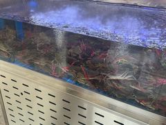 -徐记小怪兽肉蟹煲(中央大街店)
