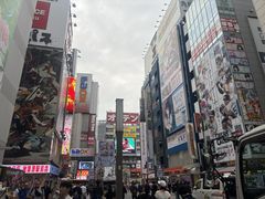 -秋叶原电器街