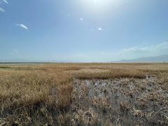 -野鸭湖国家湿地公园