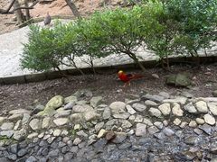 -燕塞湖鸟语林景区