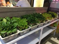 -捞围鲜·港式打边炉(海阳路店)